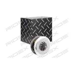 4973C0074 RIDEX