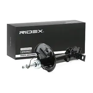 854S1998 RIDEX