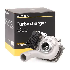 2234C10085 RIDEX