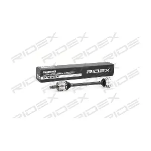13D0255 RIDEX