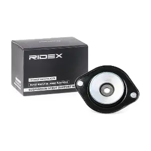 1180S0068 RIDEX