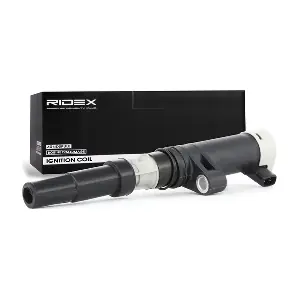 689C0002 RIDEX