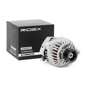 4G0271 RIDEX