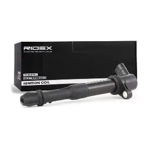 689C0036 RIDEX