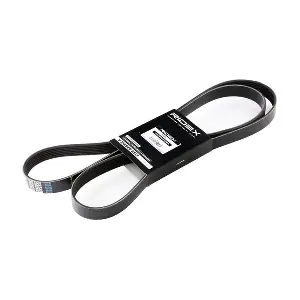 305P0106 RIDEX