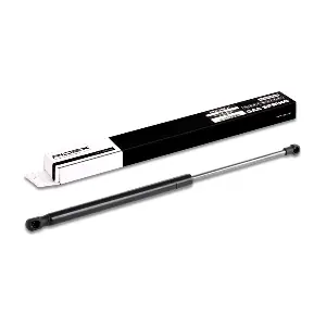 219G0220 RIDEX