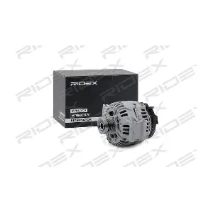 4G0138 RIDEX