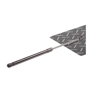 219G0069 RIDEX