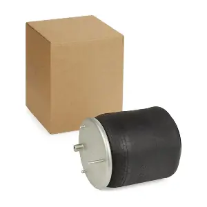 4119A0079 RIDEX