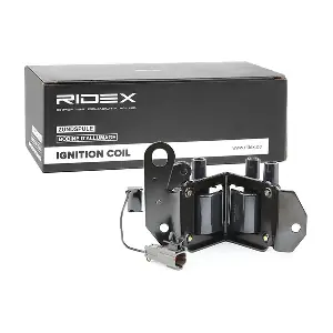 689C0218 RIDEX