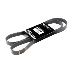 305P0075 RIDEX