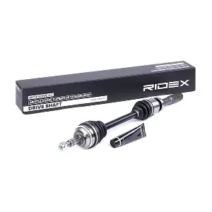 13D0246 RIDEX