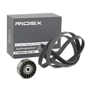 542R0123 RIDEX