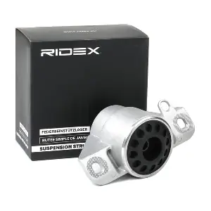 1180S0245 RIDEX