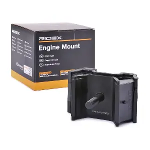 247E0252 RIDEX