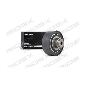 313D0035 RIDEX