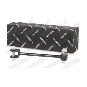 3229S0513 RIDEX
