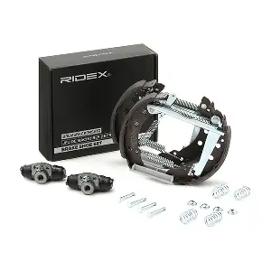 3859B0012 RIDEX