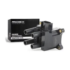 689C0007 RIDEX
