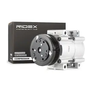 447K0154 RIDEX
