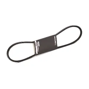 10C0022 RIDEX
