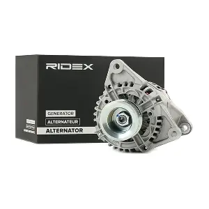 4G0738 RIDEX