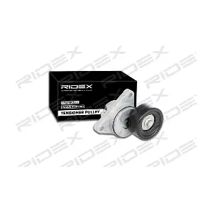 541V0019 RIDEX
