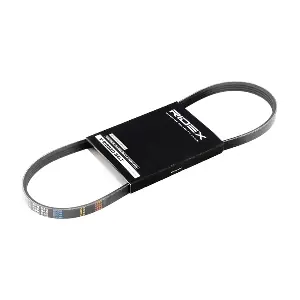 305P0124 RIDEX