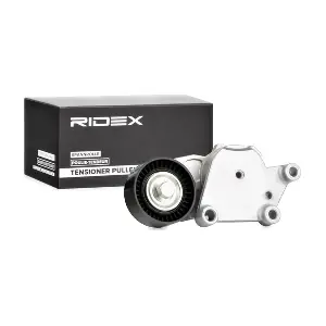 540T0013 RIDEX