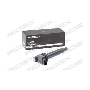 689C0318 RIDEX