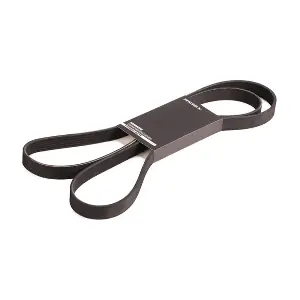 305P0087 RIDEX