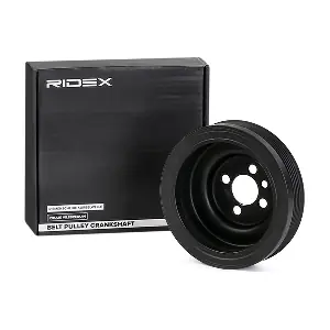 3213B0075 RIDEX