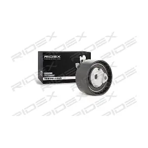 308T0069 RIDEX