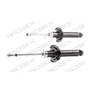 854S18069 RIDEX