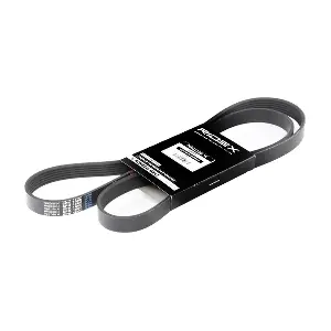 305P0079 RIDEX