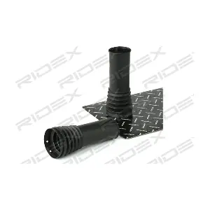 919D0069 RIDEX