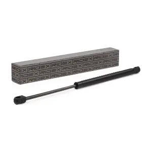 219G0136 RIDEX
