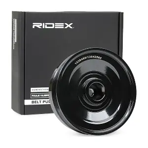 3213B0095 RIDEX