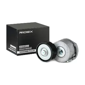 310T0145 RIDEX