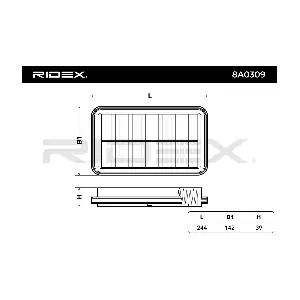 8A0309 RIDEX