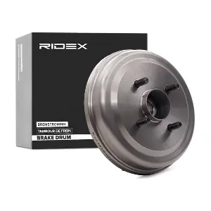 123B0129 RIDEX