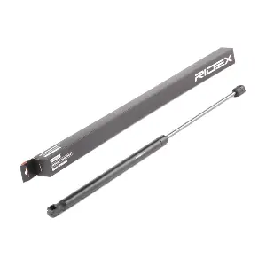 219G0215 RIDEX