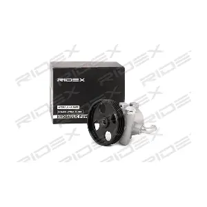 12H0127 RIDEX