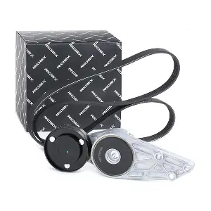 542R0031 RIDEX