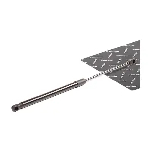 219G0040 RIDEX
