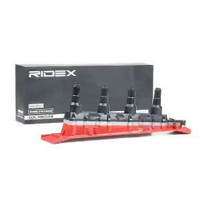 689C0102 RIDEX