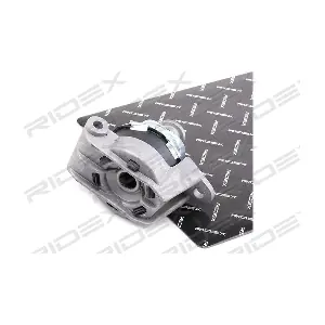 247E0107 RIDEX