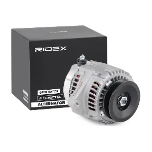 4G0025 RIDEX