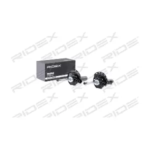 854S1606 RIDEX