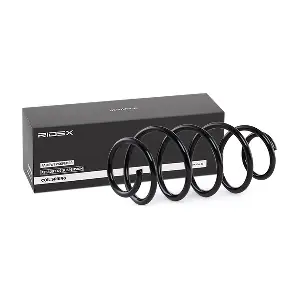 188C0298 RIDEX